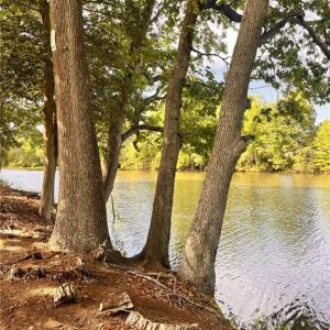 Photo #12 of 2035 Foxs Lair Trail, Norfolk, Virginia 0.3 acres