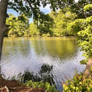 Photo #4 of 2035 Foxs Lair Trail, Norfolk, Virginia 0.3 acres