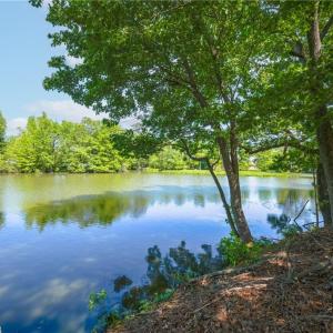 Photo #6 of 2035 Foxs Lair Trail, Norfolk, Virginia 0.3 acres