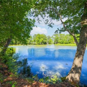 Photo #9 of 2035 Foxs Lair Trail, Norfolk, Virginia 0.3 acres