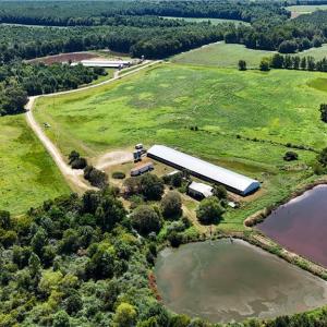 Photo #3 of 27950 Garris Mill Road, Boykins, Virginia 87.0 acres