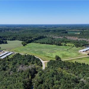 Photo #4 of 27950 Garris Mill Road, Boykins, Virginia 87.0 acres