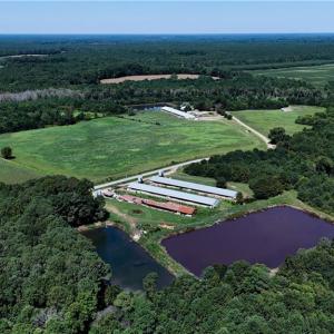 Photo #5 of 27950 Garris Mill Road, Boykins, Virginia 87.0 acres