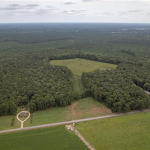 Photo #1 of 102 AC Freeman Mill Road, Suffolk, Virginia 102.0 acres