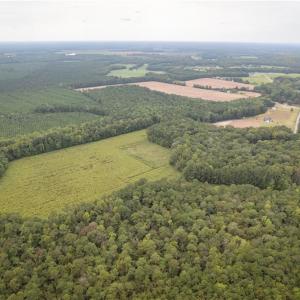Photo #4 of 102 AC Freeman Mill Road, Suffolk, Virginia 102.0 acres