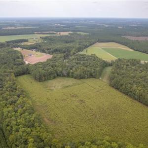 Photo #5 of 102 AC Freeman Mill Road, Suffolk, Virginia 102.0 acres