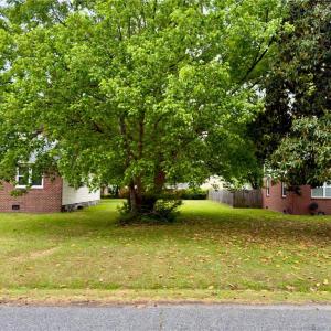 Photo #3 of 118B Maupin Avenue, Portsmouth, Virginia 0.1 acres