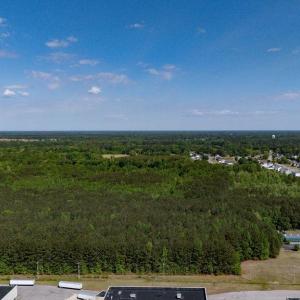 Photo #7 of 11.9AC Stewart Drive, Franklin, Virginia 11.9 acres