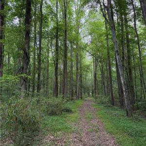 Photo #1 of Lot 37 Trinkle Street, Chesapeake, Virginia 0.2 acres