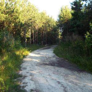 Entrance to the 10 acres