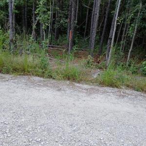 Photo #3 of 801 Brick Yard Road, Emporia, Virginia 10.0 acres