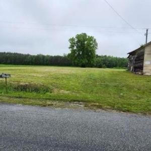 Photo #11 of 4449 Butler Drive, Suffolk, Virginia 1.0 acres