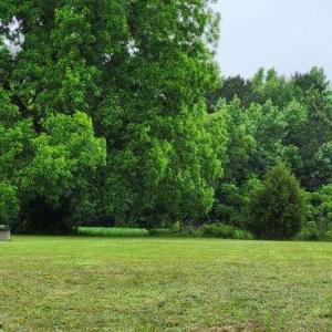 Photo #8 of 4449 Butler Drive, Suffolk, Virginia 1.0 acres