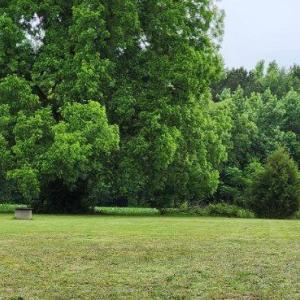 Photo #9 of 4449 Butler Drive, Suffolk, Virginia 1.0 acres