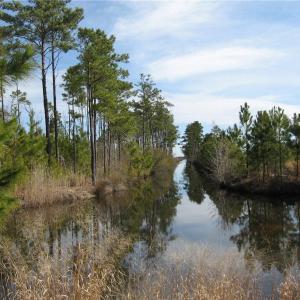 Photo #11 of 4161 Caratoke Highway, Barco, North Carolina 92.4 acres
