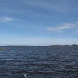 Photo #16 of 4161 Caratoke Highway, Barco, North Carolina 92.4 acres