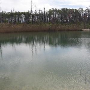 Photo #25 of 4161 Caratoke Highway, Barco, North Carolina 92.4 acres