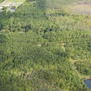 Photo #27 of 4161 Caratoke Highway, Barco, North Carolina 92.4 acres