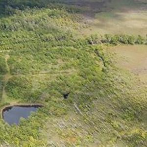 Photo #28 of 4161 Caratoke Highway, Barco, North Carolina 92.4 acres