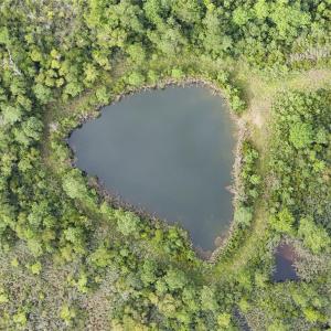 Photo #31 of 4161 Caratoke Highway, Barco, North Carolina 92.4 acres