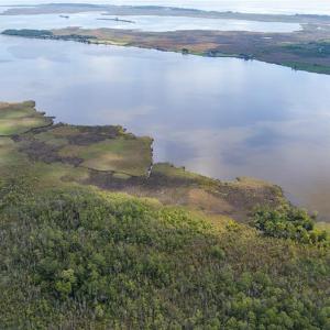 Photo #6 of 4161 Caratoke Highway, Barco, North Carolina 92.4 acres