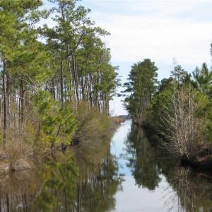Photo #10 of 4161 Caratoke Highway, Barco, North Carolina 92.4 acres