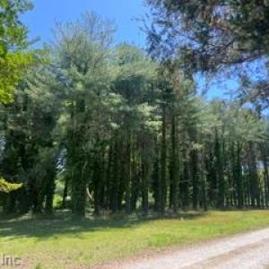 Photo #14 of 1.1+AC Laurel Haven Lane, Wicomico, Virginia 1.5 acres