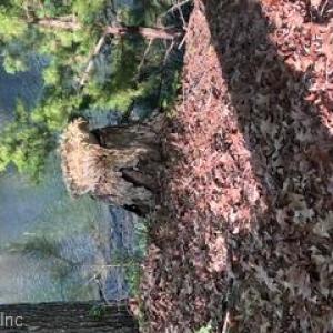 Photo #15 of 1.1+AC Laurel Haven Lane, Wicomico, Virginia 1.5 acres