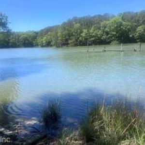 Public landing at the end of Fields Landing Rd. on Timberneck Creek