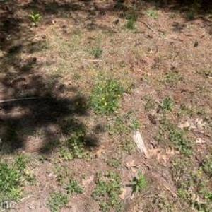 Photo #3 of 1.1+AC Laurel Haven Lane, Wicomico, Virginia 1.5 acres