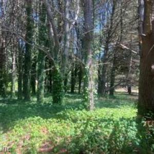Photo #4 of 1.1+AC Laurel Haven Lane, Wicomico, Virginia 1.5 acres