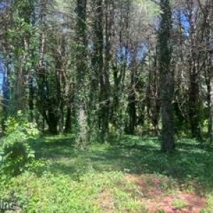Photo #8 of 1.1+AC Laurel Haven Lane, Wicomico, Virginia 1.5 acres