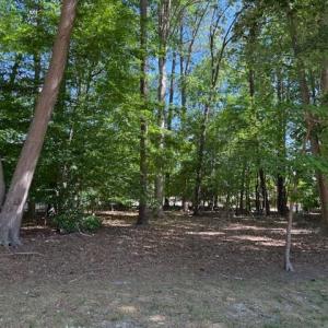 Level Lot with minimal clearing needed