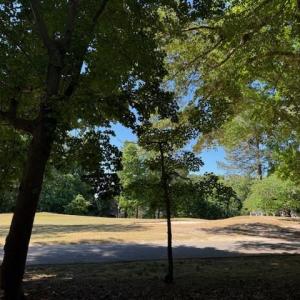 View of Green
