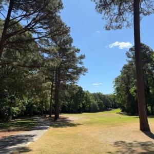 Photo #7 of 220 Ashford Manor, Williamsburg, Virginia 0.4 acres