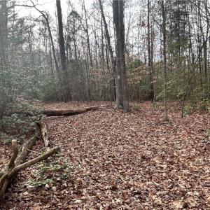 Photo #14 of 3.1+AC Near Cooks Mill Road, Lanexa, Virginia 4.0 acres