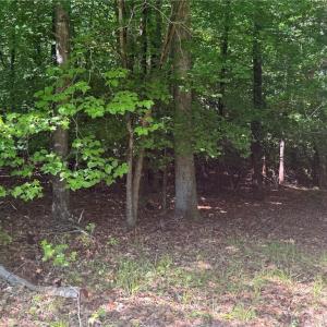 Photo #16 of 3.1+AC Near Cooks Mill Road, Lanexa, Virginia 4.0 acres