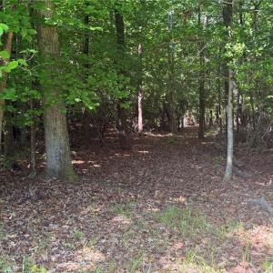 Photo #17 of 3.1+AC Near Cooks Mill Road, Lanexa, Virginia 4.0 acres