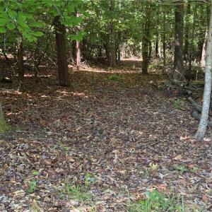 Photo #18 of 3.1+AC Near Cooks Mill Road, Lanexa, Virginia 4.0 acres