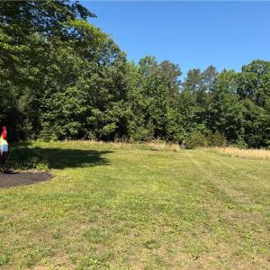 Photo #4 of 3.1+AC Near Cooks Mill Road, Lanexa, Virginia 4.0 acres