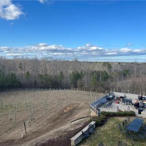 Photo #39 of 3.1+AC Near Cooks Mill Road, Lanexa, Virginia 4.0 acres