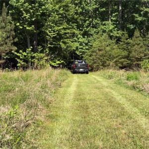 Photo #5 of 3.1+AC Near Cooks Mill Road, Lanexa, Virginia 4.0 acres