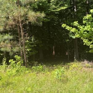 Photo #6 of 3.1+AC Near Cooks Mill Road, Lanexa, Virginia 4.0 acres