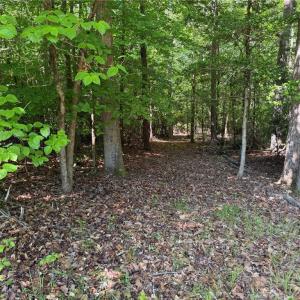 Photo #8 of 3.1+AC Near Cooks Mill Road, Lanexa, Virginia 4.0 acres