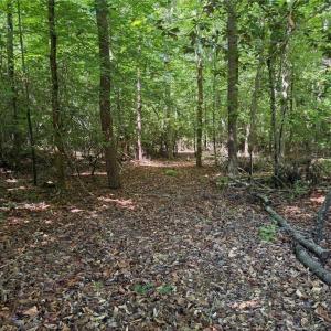 Photo #9 of 3.1+AC Near Cooks Mill Road, Lanexa, Virginia 4.0 acres
