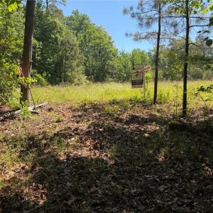 Photo #10 of 3.1+AC Near Cooks Mill Road, Lanexa, Virginia 4.0 acres