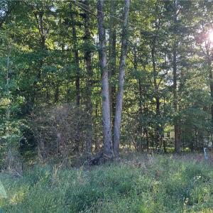 Photo #2 of .26AC Cypress Trail, Gloucester, Virginia 0.3 acres