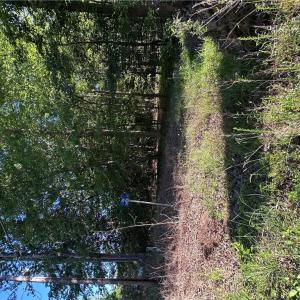 Photo #4 of .26AC Cypress Trail, Gloucester, Virginia 0.3 acres