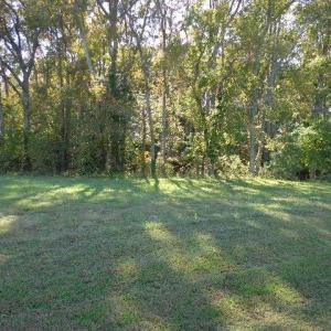 Photo #1 of 8020 Rocks Landing Road, Smithfield, Virginia 17.5 acres