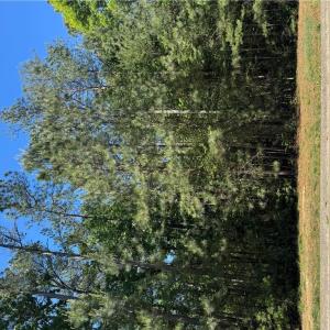 Photo #1 of 5269 Linkshire Lane, Providence Forge, Virginia 0.4 acres